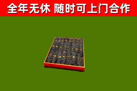 红河市回收海参
